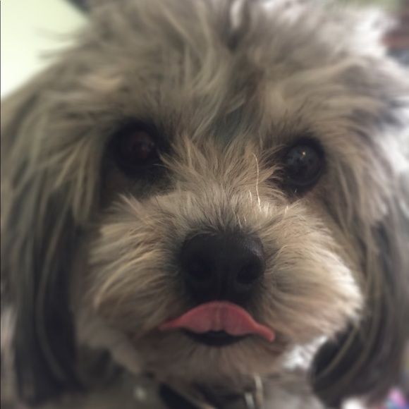 Meet your Posher, A S - Picture 1 of 1